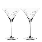 Spiegelau - Signature Drinks Circles Cocktail 22 cl 2-pack