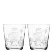 iittala - Taika Glas 38 cl 2-pack Klar