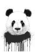 Poster Graffiti Panda