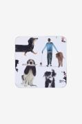 Maxwell & Williams - Glasunderlägg Coasters 4-p Dogs - Flerfärgad - Ba...