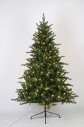 NORDFORM - Christmas Tree W/290LED H210Cm W/Adaptor - Grön - Dekorativ...