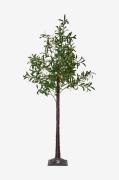 Star Trading - Dekorationsträd Olivec 180cm - Grön - Dekorationsbelysn...