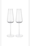 Blomus - Belo Champagneglas 20 cl 2-pack Clear - Transparent - Vinglas...