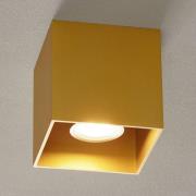 Wever & Ducré Lighting WEVER &amp; DUCRÉ Box 1.0 PAR16 taklampa guld