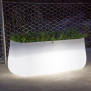 Newgarden LED-solcellsplantering Camelia Large, uppladdningsbart batte...