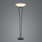 BANKAMP Lady LED-uplight-golvlampa, ZigBee, svart