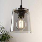 HELAM Hänglampa Lucea 1 lampa med glasskärm rökfärgad