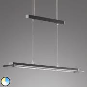 FISCHER & HONSEL LED-hänglampa Tenso TW med dimmer, svart 88cm