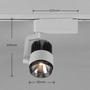 Trio Lighting LED track spot Radiator för DUOline, titan matt, CCT