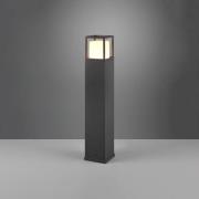 Trio Lighting LED-väglampa Witham, 80 cm hög, antracit, CCT, IP54