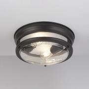 Searchlight Glasgow taklampa med glasskärm, IP44 svart