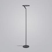 Helestra Elara LED-golvlampa down dimbar svart