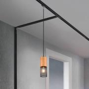 Trio Lighting Pendellampa Tosh DUOline med trädetalj