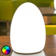 Smart&Green Egg - en appstyrd dekorativ lampa med uppladdningsbart bat...