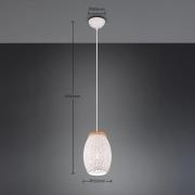 Reality Leuchten Bidar hängande lampa, Ø 15 cm, matt vit, metall