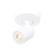 Freelight Razza takspotlight, vit, Ø 13 cm, metall