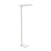 LED-golvlampa MAULjaval, vit, 196 cm, dimbar, sockel