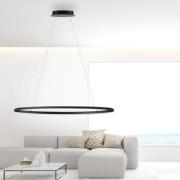 Paul Neuhaus LED-hänglampa Titus, 118x56cm, CCT, dimbar
