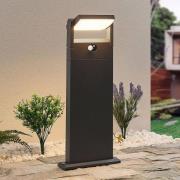 Lindby Novalie LED-väglampa