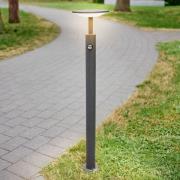 Lucande LED-väglampa Fenia med rörelsesensor, 100 cm