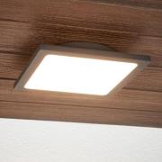 Lucande LED-utomhustaklampa Mabella, 23 cm, sensor, IP65