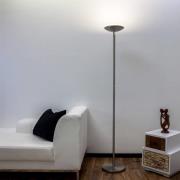 Lindby LED-uplight-golvlampa Malea, 180 cm, nickel, metall