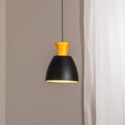 BEGA Hänglampa Studio Line 51229, svart/mässing, Ø 20 cm