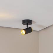 Lucea Lumen takspotlight, svart / mässingsfärgad, höjd 15 cm, järn