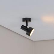 SIGMA Takspotlight Mona, 1 lampa, svart, rörlig, stål