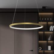 Eko-Light HOOP LED-hänglampa, 27 W, Ø 50 cm, 4.000 K, guld