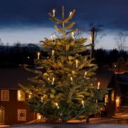 Konstsmide Christmas Ljuslyktor för utomhusbruk LED 45-flg.