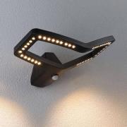 Paulmann Smart vägglampa med sensor Alara, RGBW antracit IP44
