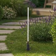 Lindby LED-väglampa Neano, 80 cm, svart, metall, IP65