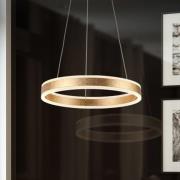 Schuller Valencia Helia LED-hänglampa, guldfärgad, Ø 50 cm, metall