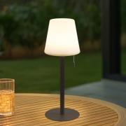 Lindby LED laddningsbar lampa Azalea, vit/brun, 45 cm, CCT, IP44