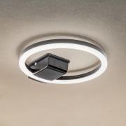 Lindby LED-utomhustaklampa Finian, Ø 31 cm, CCT, dimbar