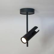 SIGMA Takspotlight Leda 1, antracit, 1 lampa, stål, höjd 34 cm