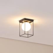 SIGMA Taklampa Aroma, 1 lampa, svart/vit/guld, stål