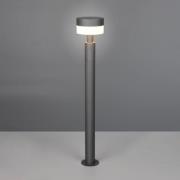 Trio Lighting LED-väglampa Mackenzie, höjd 95 cm, antracit, gjuten alu...
