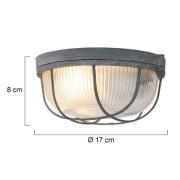 Steinhauer Taklampa Lisanne, grå, Ø 17 cm, metall, glas, E27