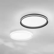 Fabas Luce LED-taklampa Isy, svart, Ø 45 cm, metall, CCT, dimbar
