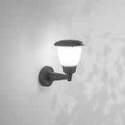 Fabas Luce Utomhusvägglampa Thiago, mörkgrå, metall, 20 cm, E27, IP54
