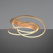 Trio Lighting Darvin taklampa LED, guldfärgad, metall, plast CCT