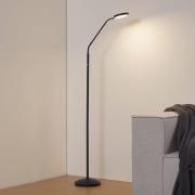 Lindby LED-golvlampa Elvyn, svart, justerbar