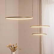 Nowodvorski Lighting LED-hänglampa CIRCOLO, olivgrön, Ø 30/45/60 cm, 3...