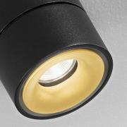 Egger Licht EGG DLS LED-takspotlight Clippo S Duo, svart-guld