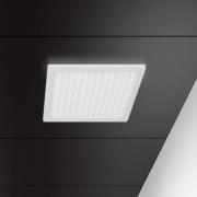 Regent Lighting Regent Dimbar taklampa för kontor 63cm 43W 4,000K