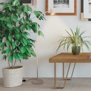 Briloner Golvlampa Skriva, beige, justerbar, metall, GU10