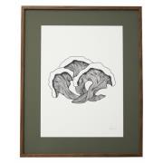 Nordal - FUNGI illustration, dark oak frame