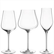Leonardo - GB/12-pack Glas, Champagne, vitvin, rödvin, Brunelli